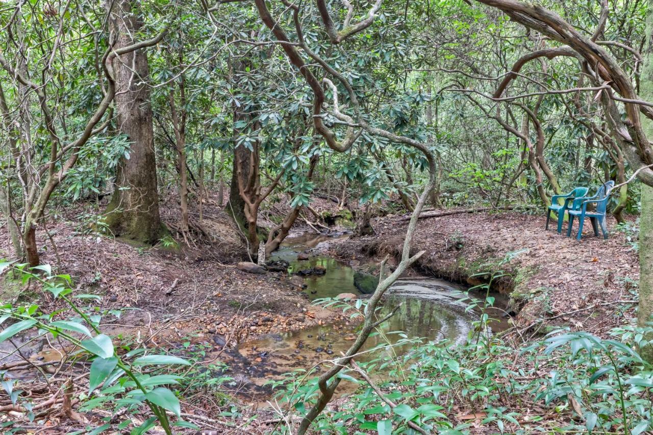 Four Cubs In The Creek Villa Sautee Nacoochee Buitenkant foto